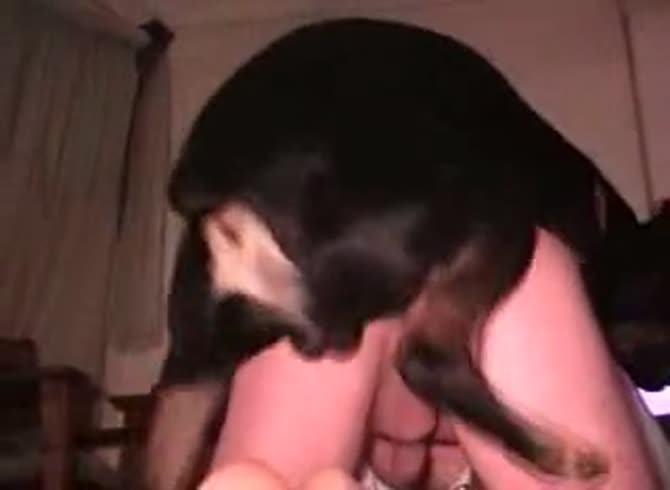 Video :Gay beastiality lover got fucked in the ass by dog